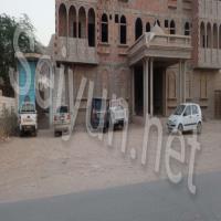 ملاعب درة القرن العشبية